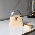 Louis Vuitton CAPUCINES