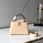 Louis Vuitton CAPUCINES