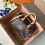 Louis Vuitton SPEEDY 25