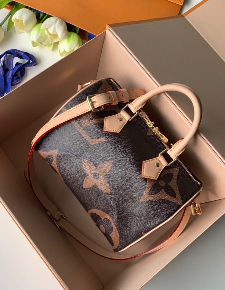 Louis Vuitton SPEEDY 25