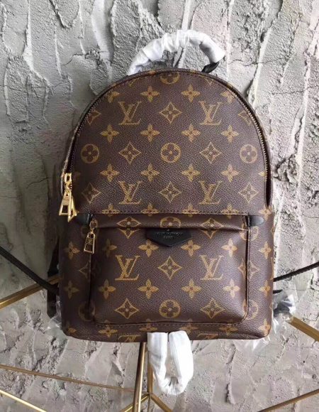 Louis Vuitton Monogram Backpack