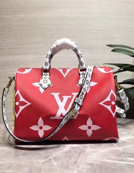 Louis Vuitton Speedy 30