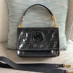 Fendi Kani Bag