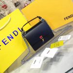 FENDI KANI