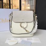 Chloe Faye backpack