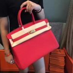 Hermes birkin 35