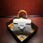 Goyard saigon mini
