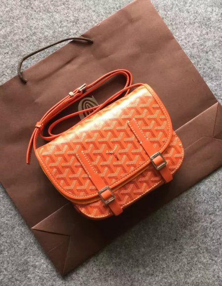 Goyard Shoulder Bag