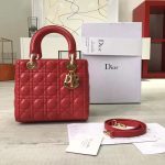 Lady Dior