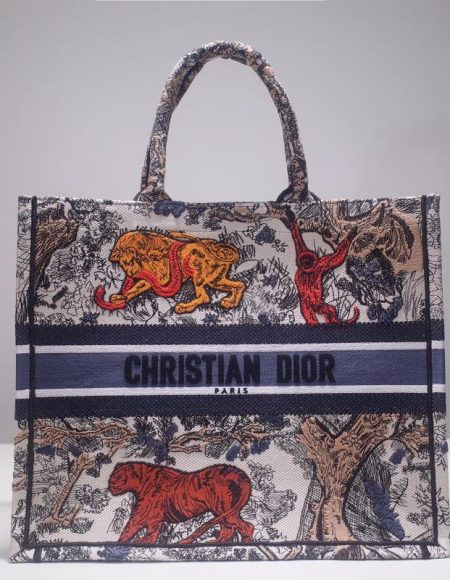 DIOR BOOK TOTE BAG