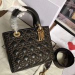 Lady Dior