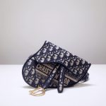 Dior Saddle Pocket