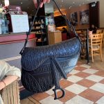 DIOR OBLIQUE SADDLE CLUTCH