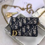 dior saddle
