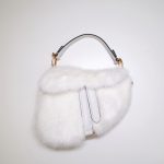 Dior saddle