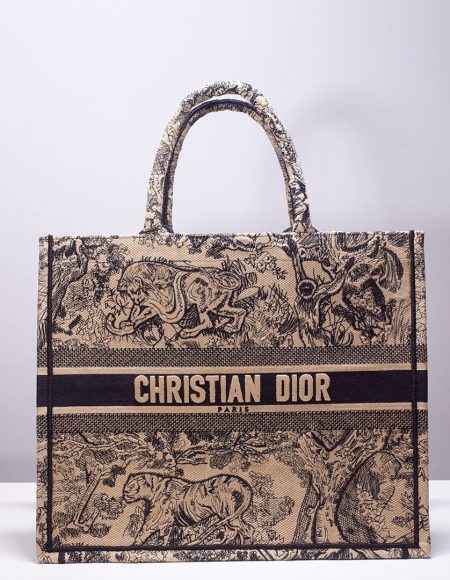 DIOR BOOK TOTE BAG