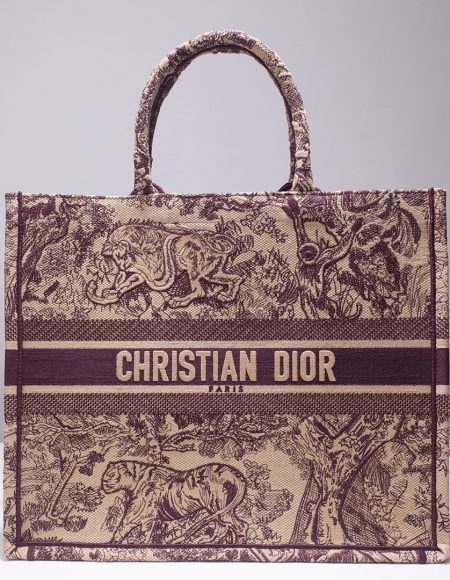 DIOR BOOK TOTE BAG