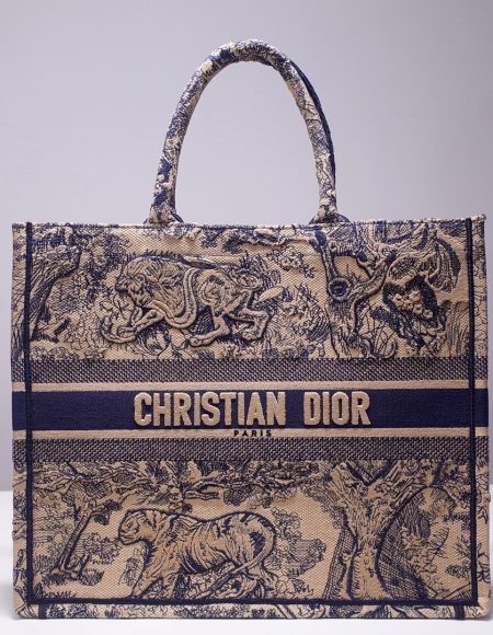 DIOR BOOK TOTE BAG