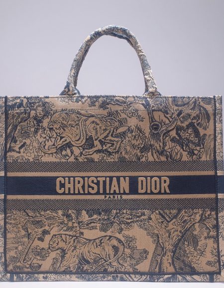 DIOR BOOK TOTE BAG