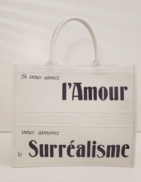 DIOR BOOK TOTE BAG