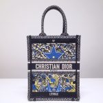 Dior Book Tote