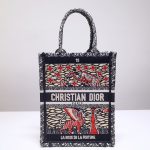 Dior Book Tote