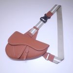 Dior Saddle Bag