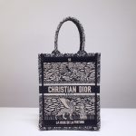 Dior Book Tote