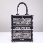 Dior Book Tote