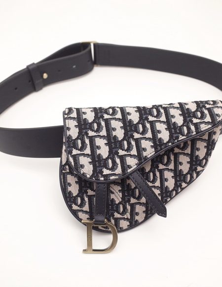 Dior saddle
