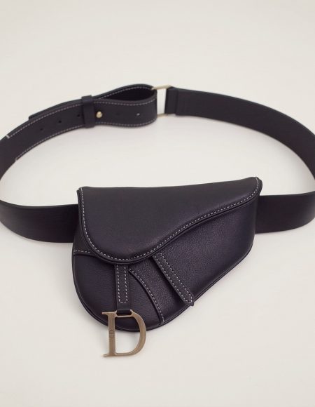 Dior saddle