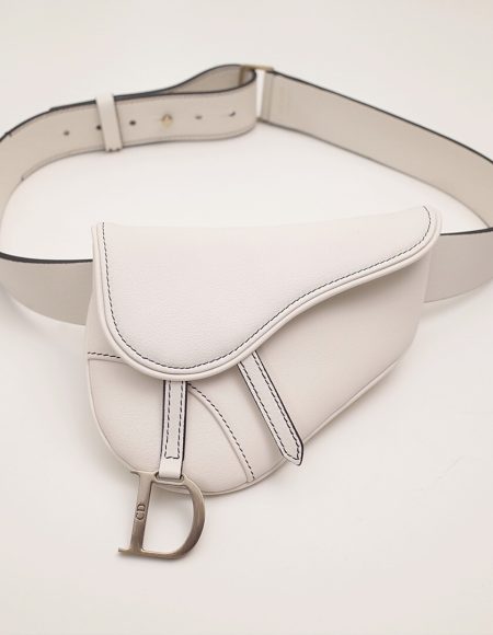 Dior saddle
