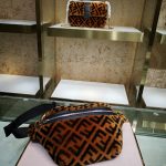 Fendi Belt Bag