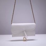 DIOR OBLIQUE SADDLE CLUTCH