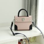 Dior Ever