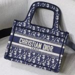 Dior mini book tote