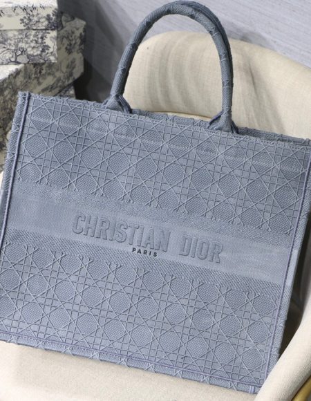 Dior book tote