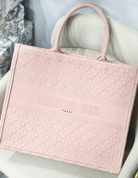 Dior book tote