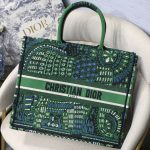 Dior book tote