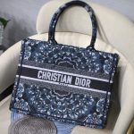 Dior book tote