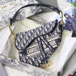dior saddle