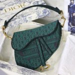 dior saddle