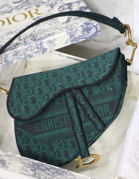 dior saddle