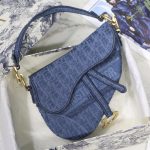 dior saddle