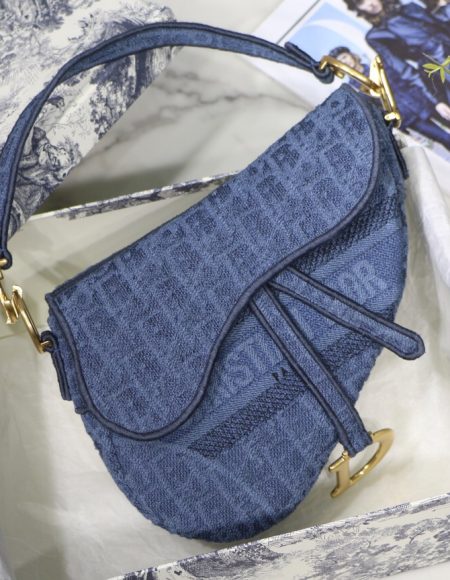 dior saddle