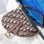 dior saddle