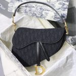 dior saddle