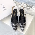 Dior Shoes