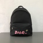 Dior KAWS Backpacks