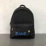Dior KAWS Backpacks